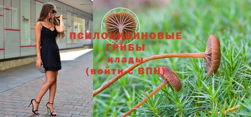 Псилоцибиновые грибы Magic Shrooms  Боровск 